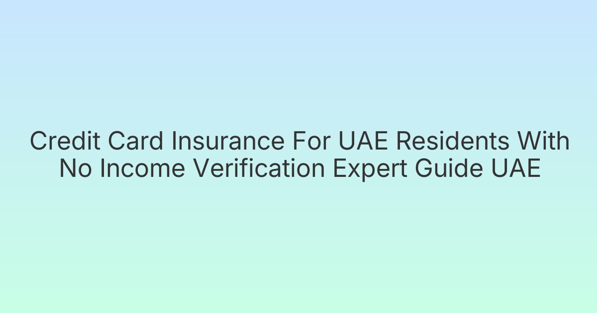 Credit Card Insurance For UAE Residents With No Income Verification Expert Guide UAE