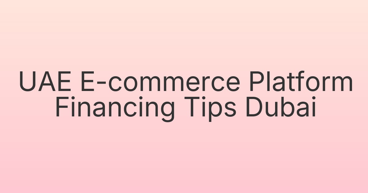 UAE E-commerce Platform Financing Tips Dubai