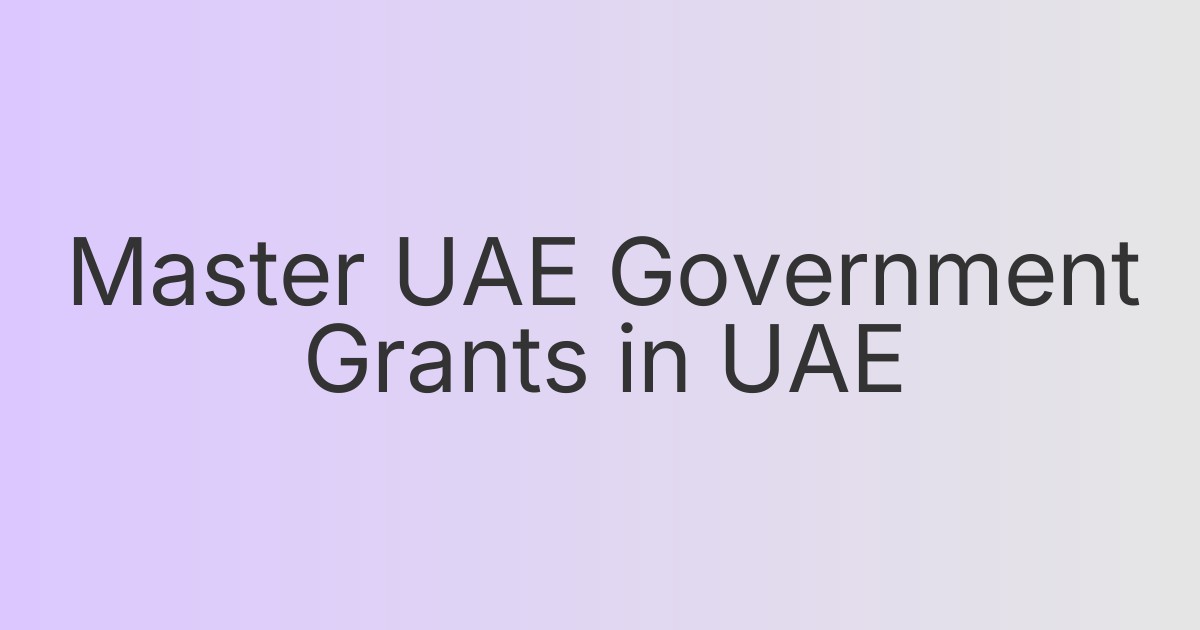 Master UAE Government Grants in UAE