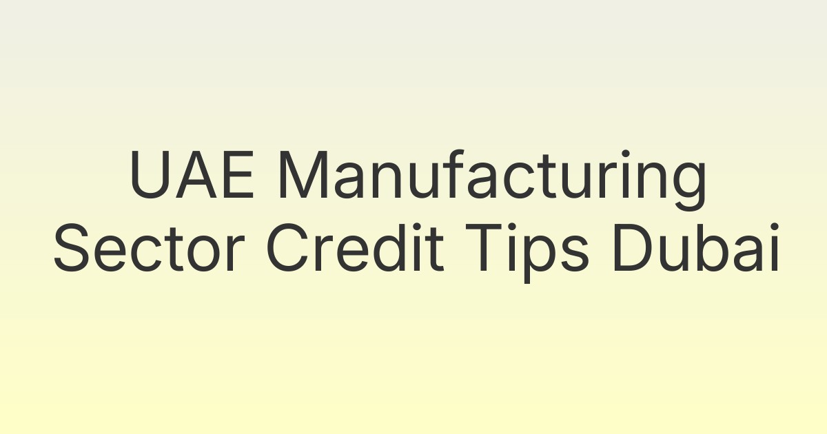 UAE Manufacturing Sector Credit Tips Dubai