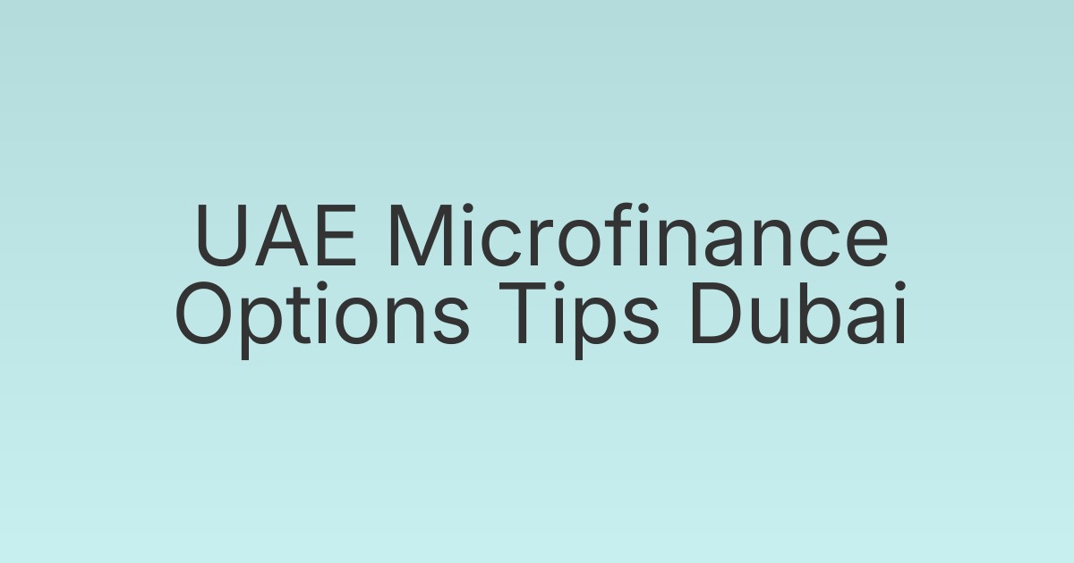 UAE Microfinance Options Tips Dubai