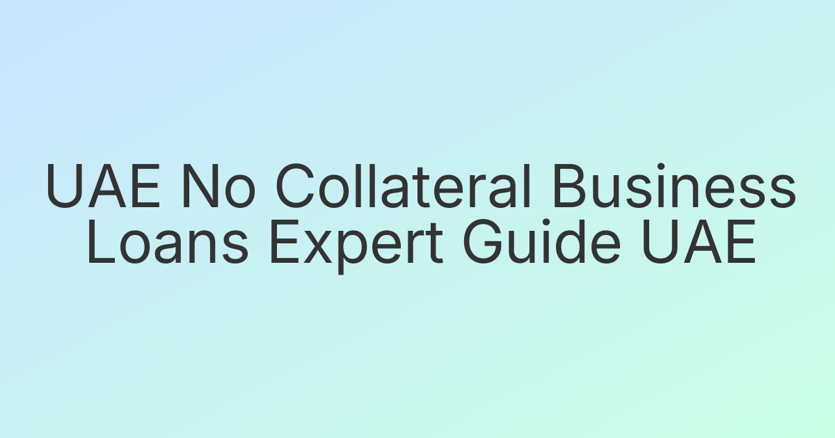 UAE No Collateral Business Loans Expert Guide UAE
