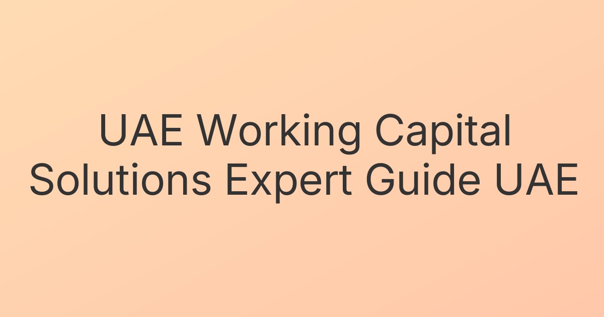 UAE Working Capital Solutions Expert Guide UAE